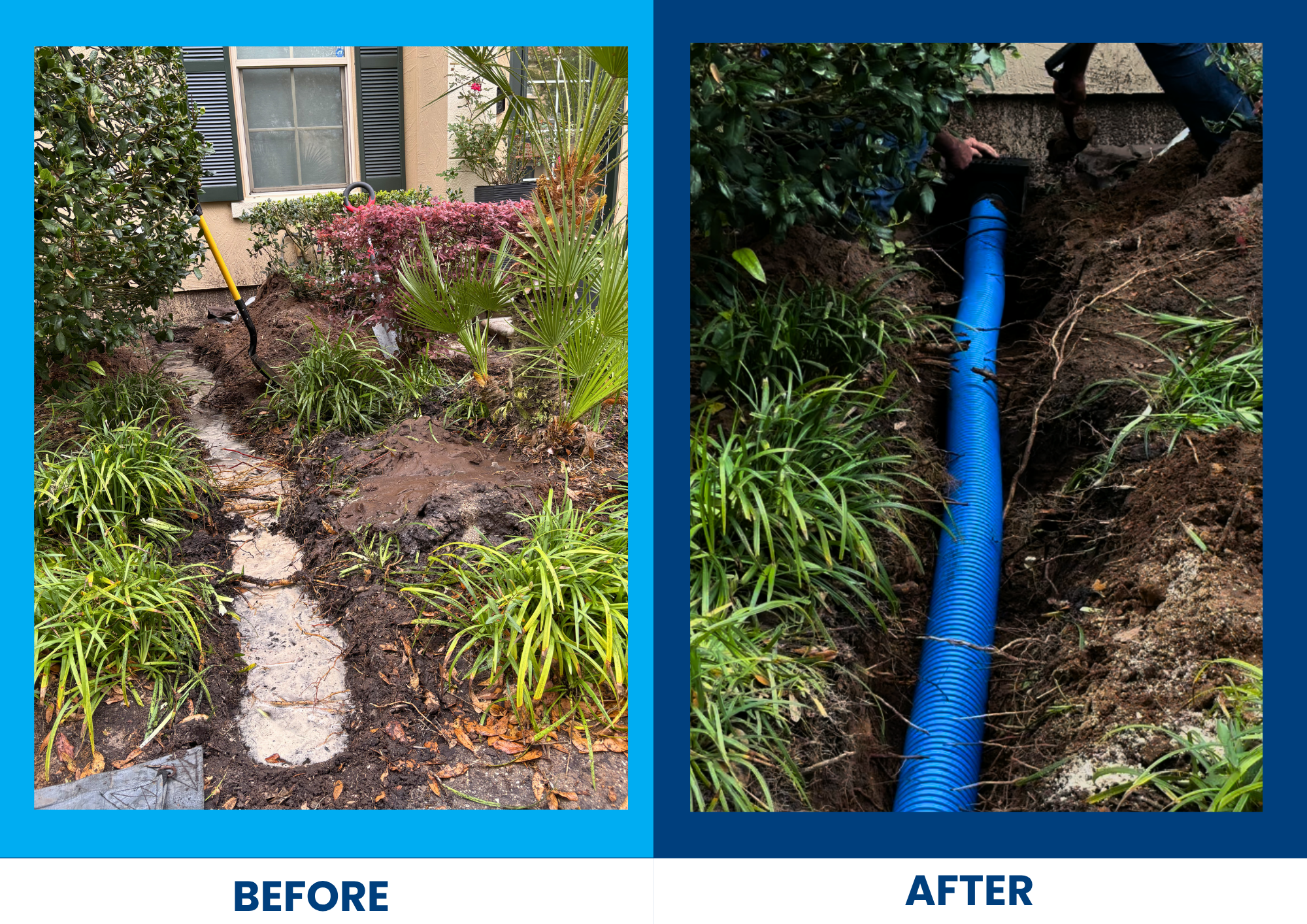 Your Trusted Partner in Complete Family Care (1).png