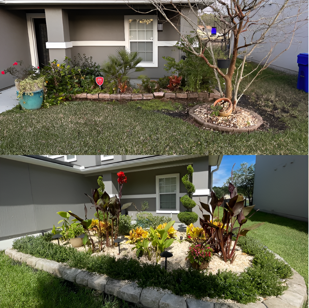 Home garden before and after drainage and landscaping improvement.