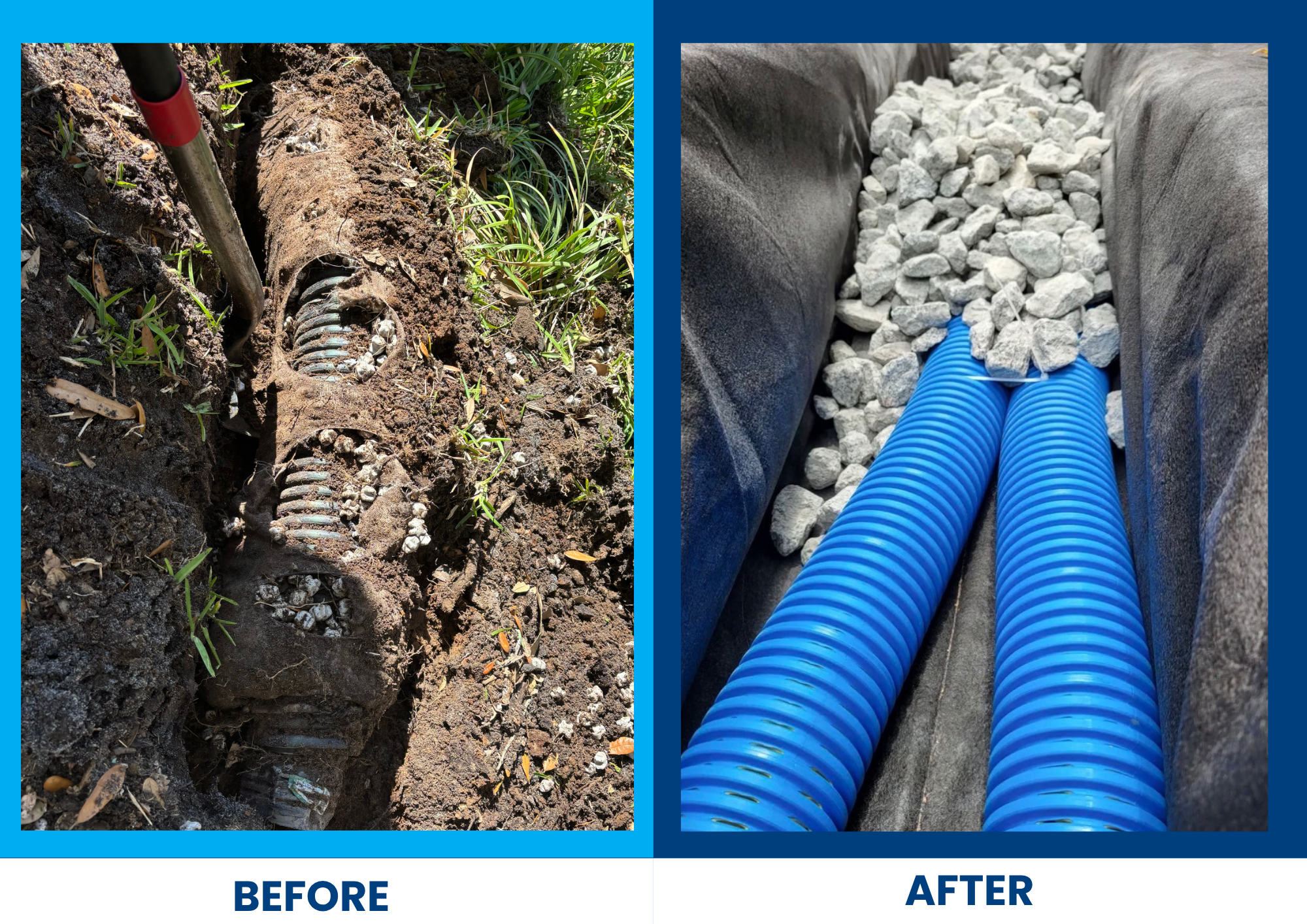 Your Trusted Partner in Complete Family Care.png