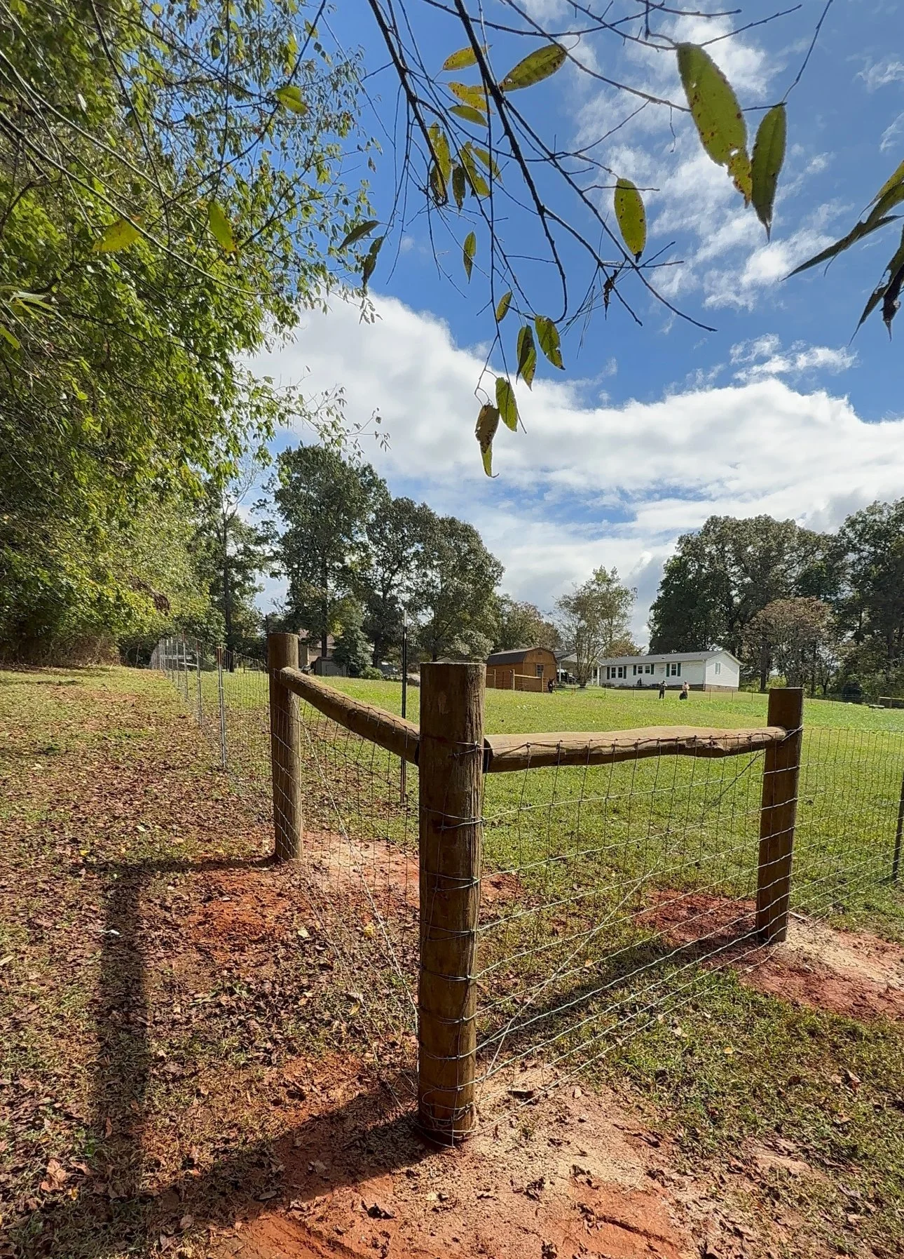 Ranch Fence
