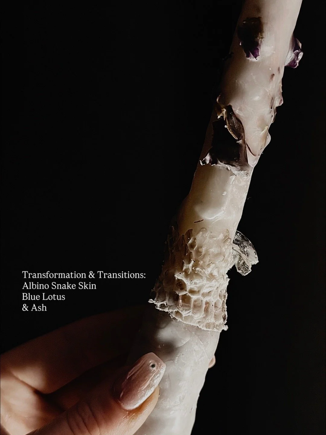 Close-up of a hand holding a partially peeled ice cream cone with snake skin, blue lotus, and ash textures visible, against a black background with white text.