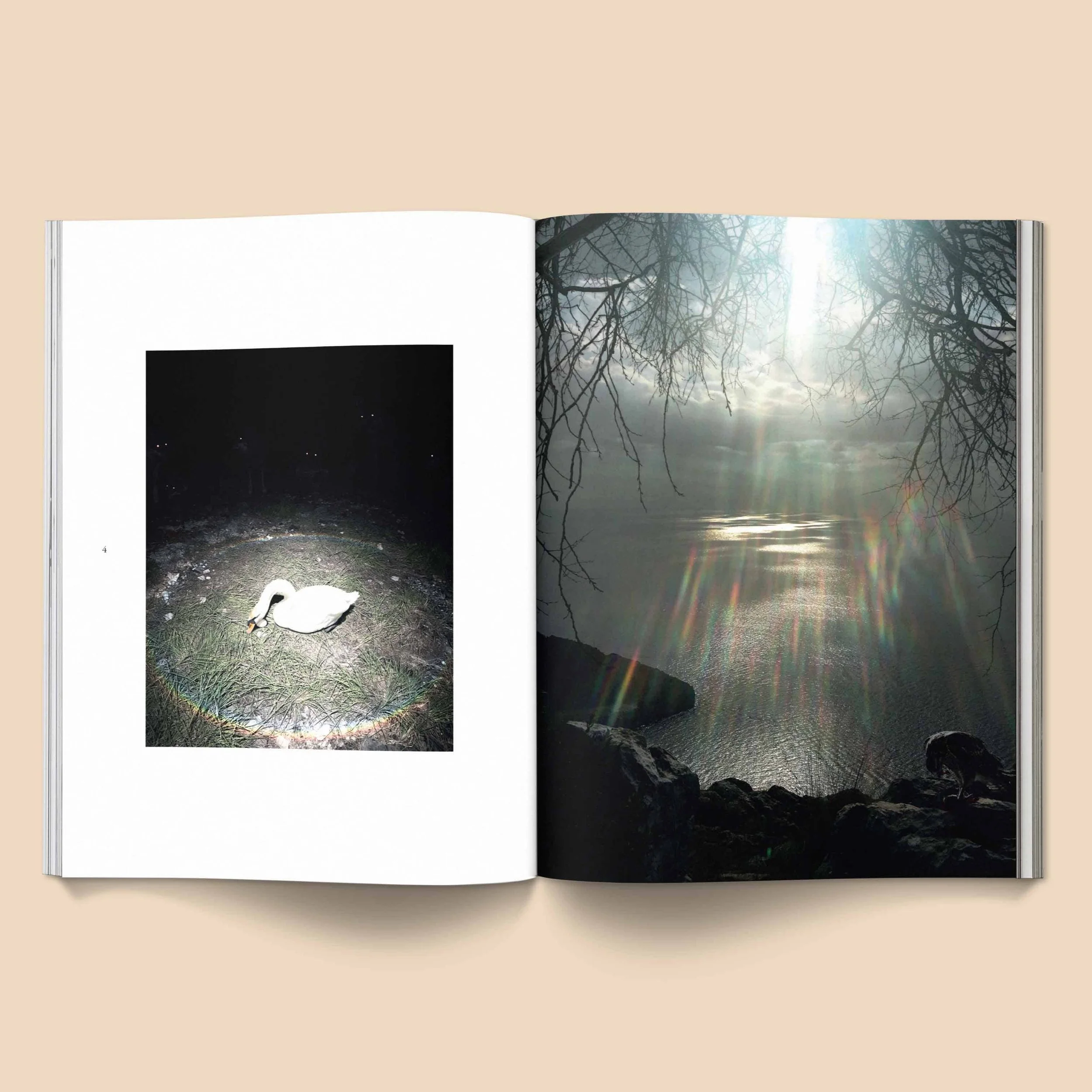 Open book with a photograph of a swan illuminated by a flashlight on the left page and a landscape of the water with sunlight shining through tree branches on the right page.