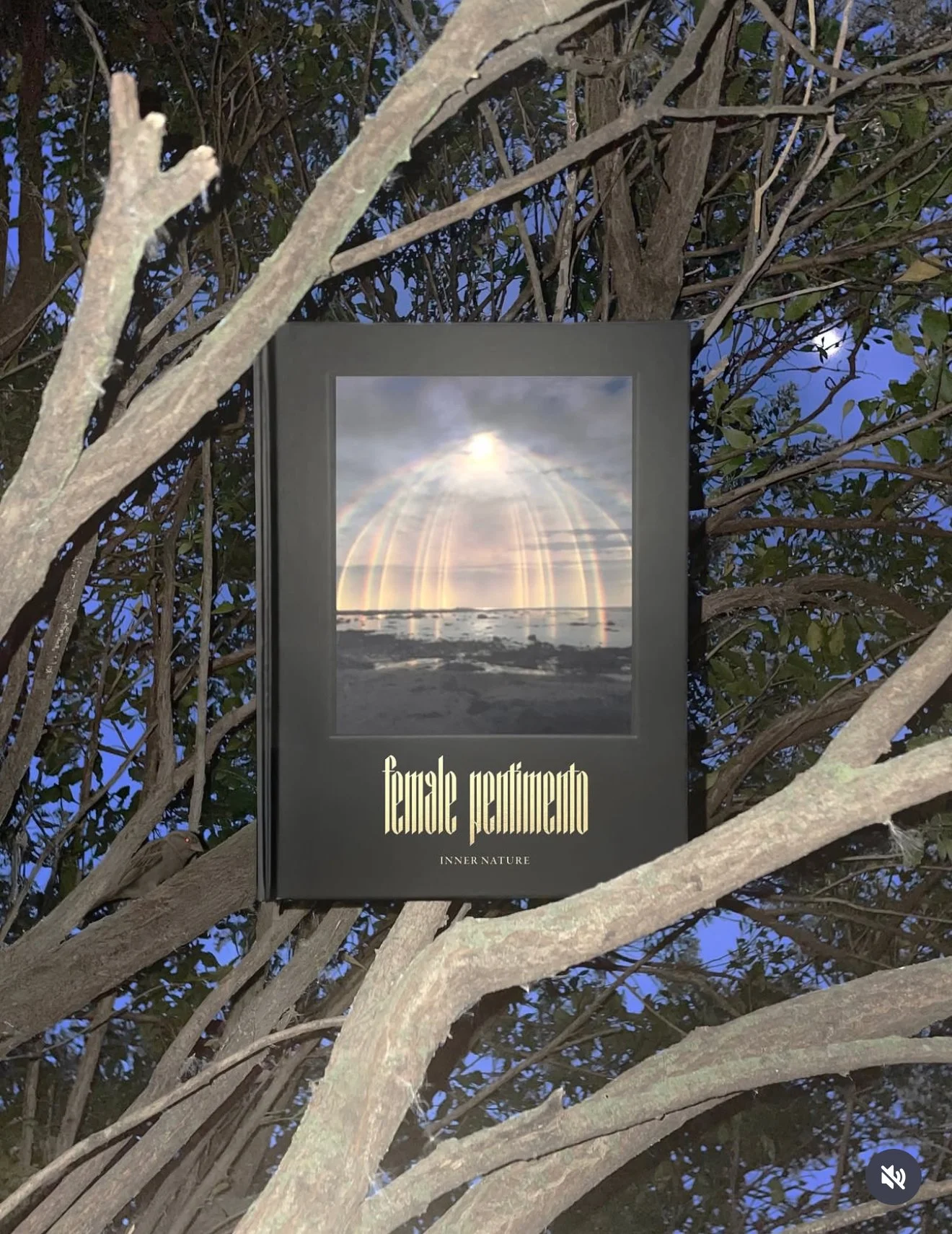 A book titled 'female penitento' resting among tree branches with a blue sky background. The cover features a rainbow over a landscape and the subtitle 'INNER NATURE'.