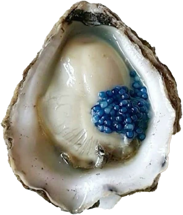 A close-up of a fresh oyster shell with open inside, containing oyster meat and blue edible pearls.