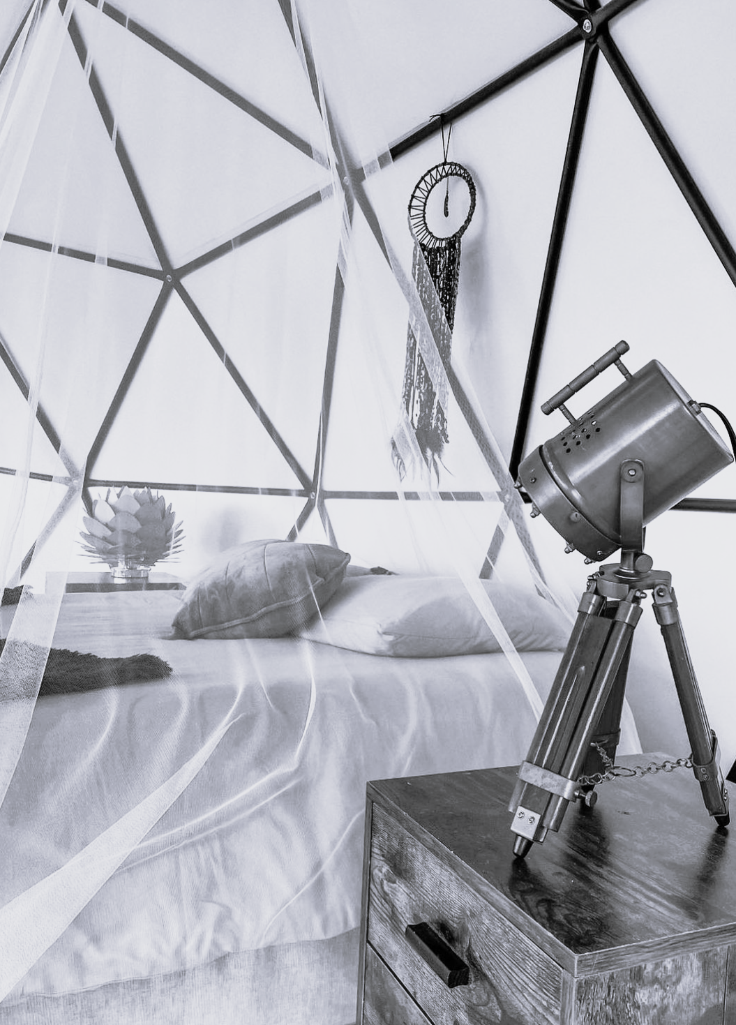 A bedroom with a bed, pillows, and a plant, seen through a sheer canopy. Next to the bed is a wooden nightstand with a vintage-style telescope on top. A decorative wall hanging is visible above the bed.