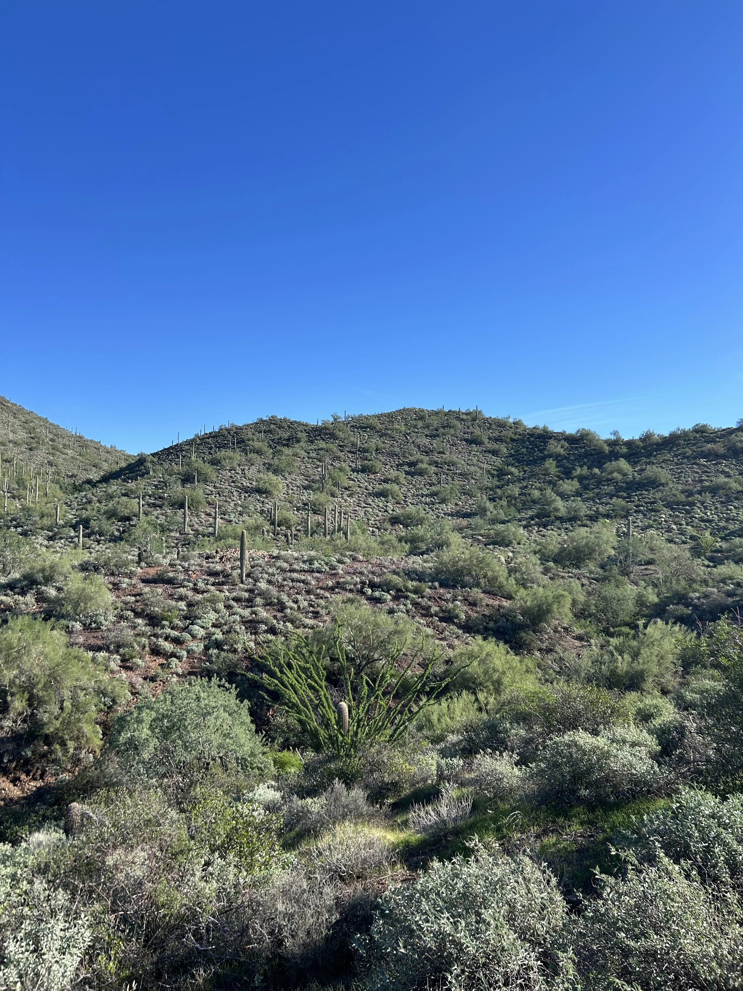 Go John at Cave Creek Regional Park