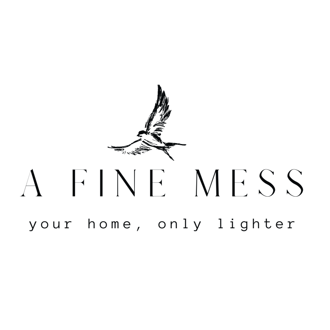 A Fine Mess