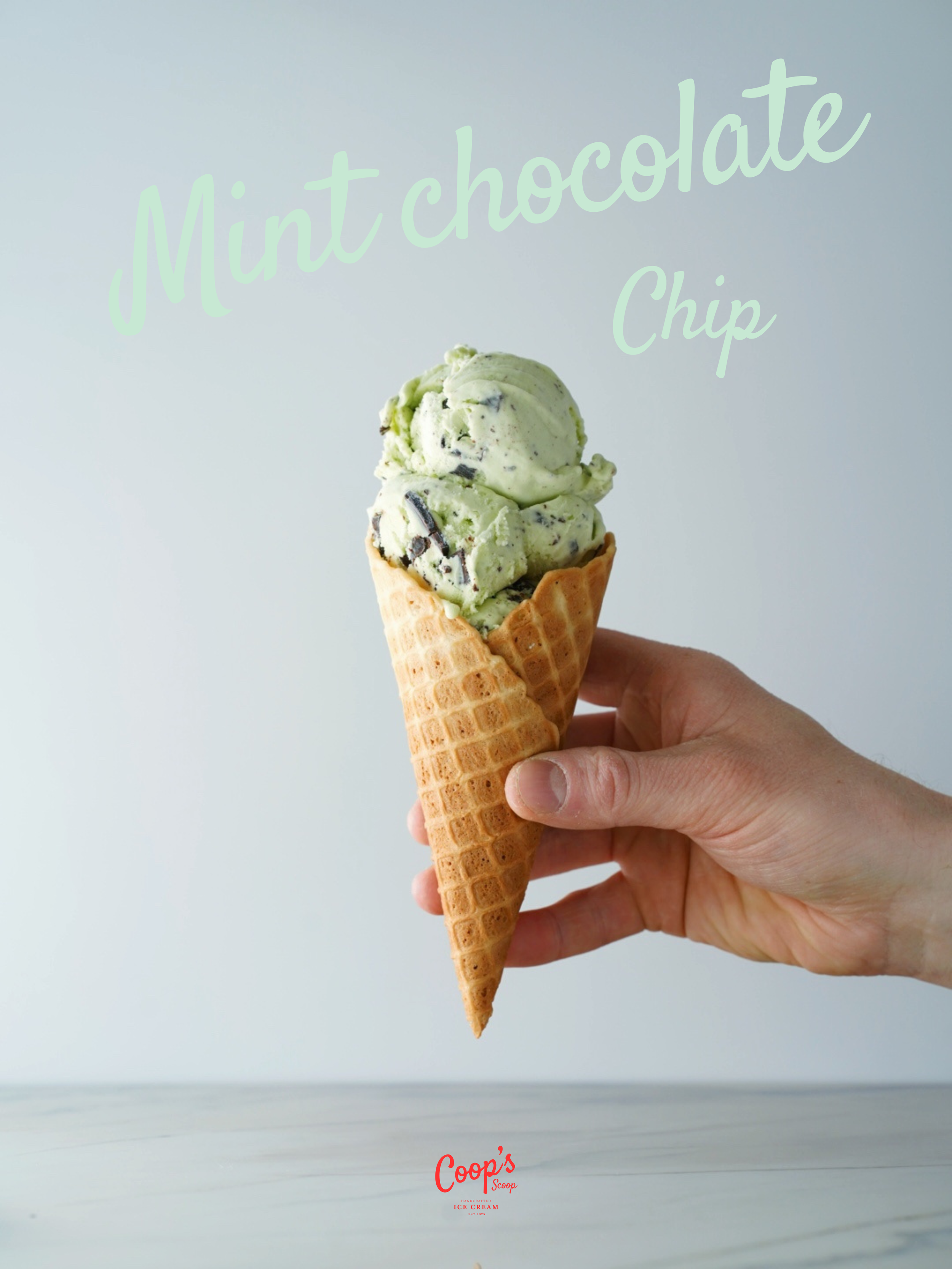 Mint Chocolate Chip Ice Cream