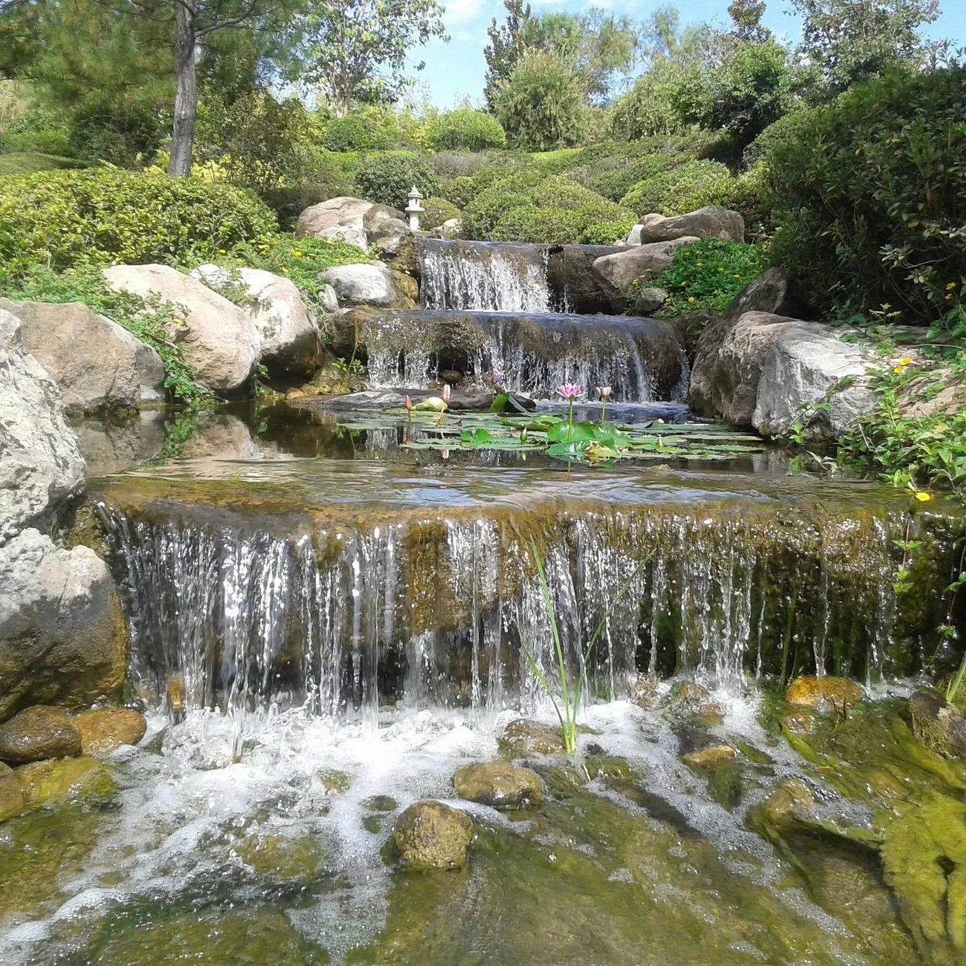 jardines-de-mexico.jpg