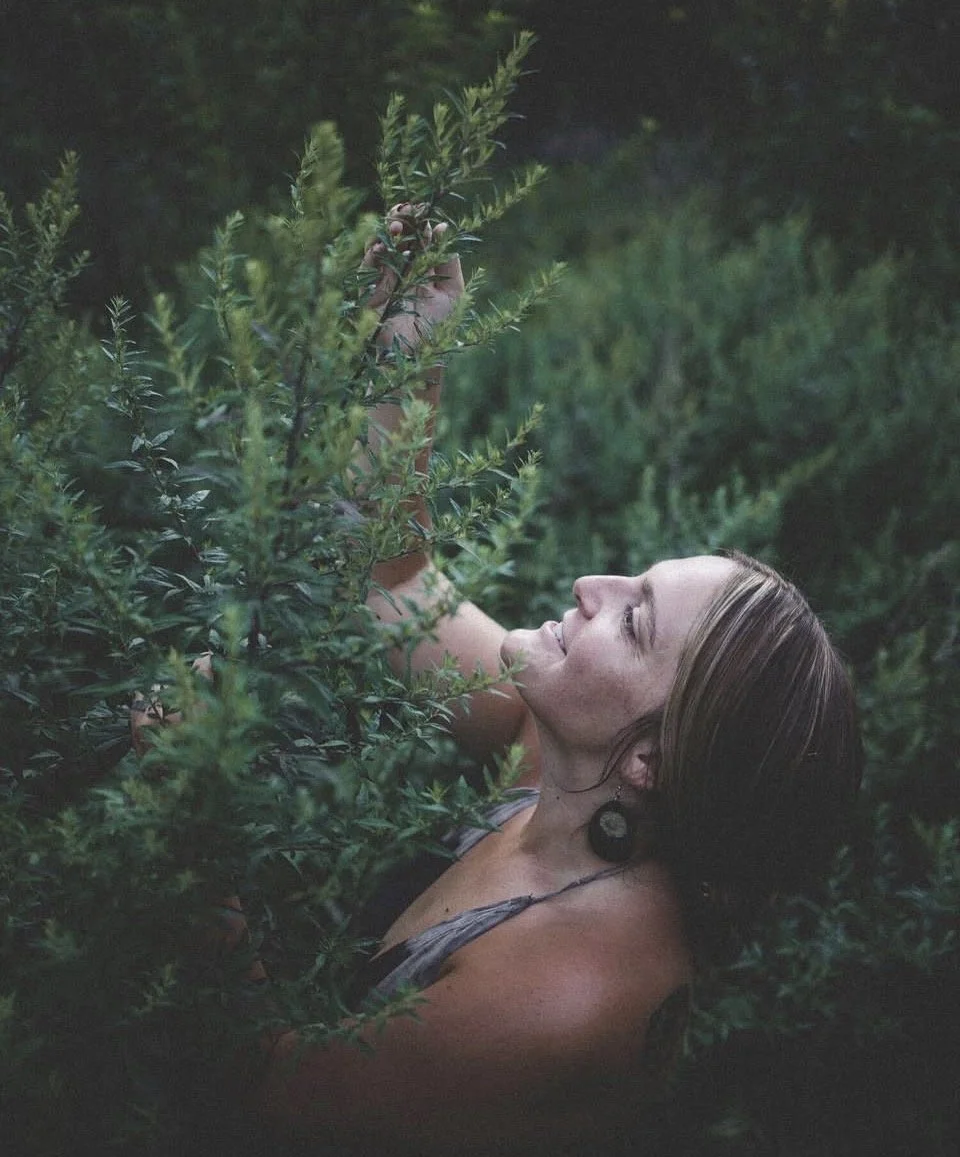 Plant Mediumship