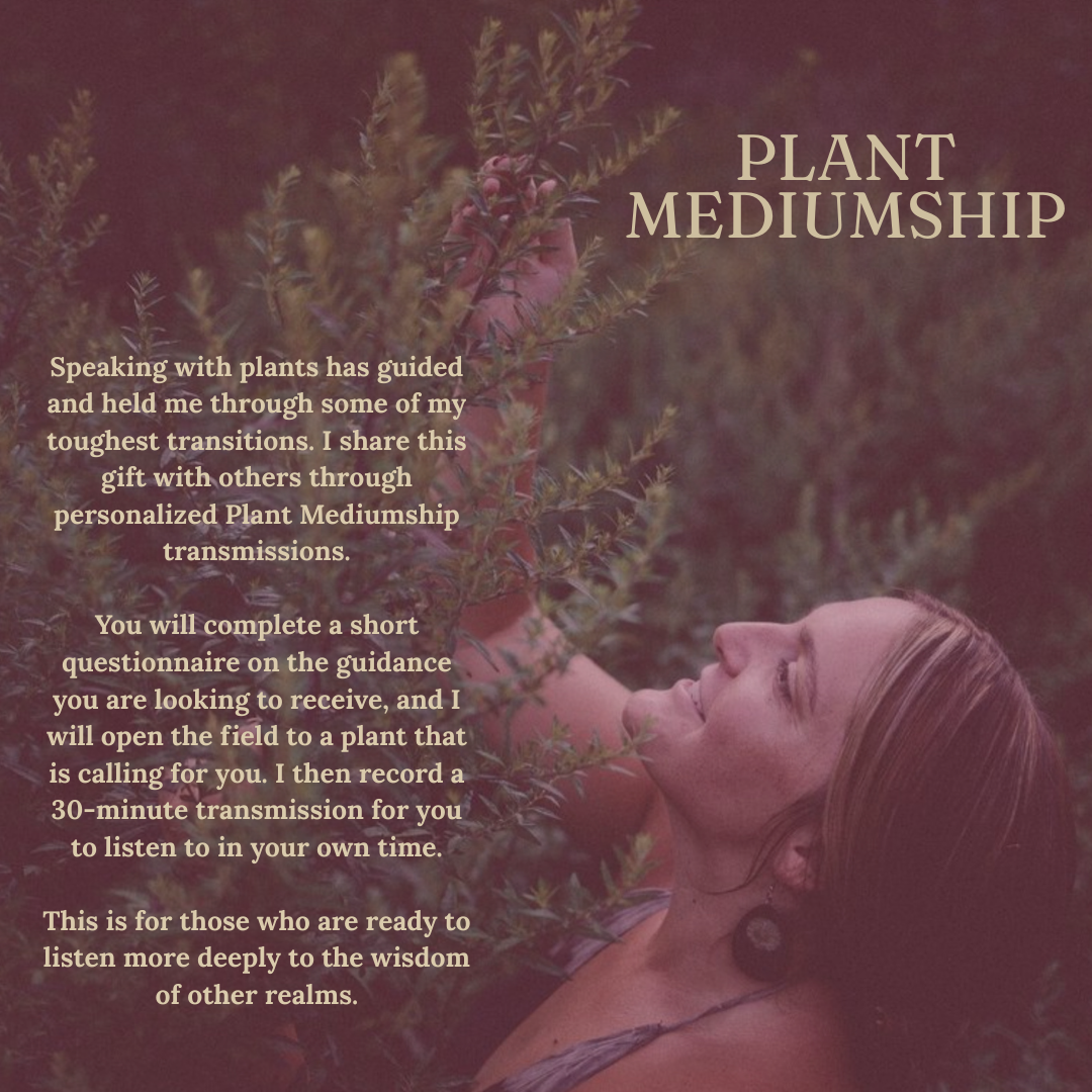 Plant Mediumship