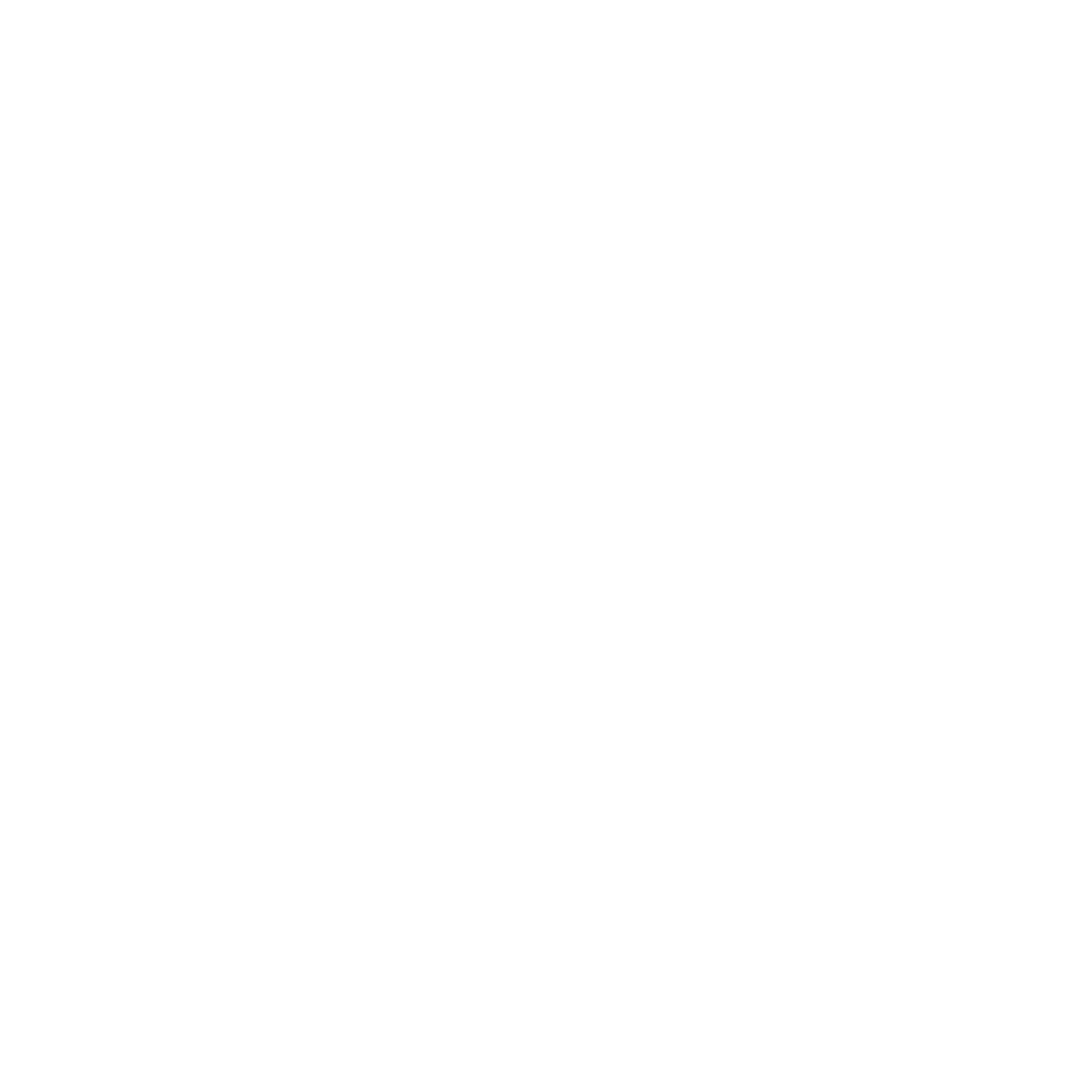 Outline drawing of a human brain