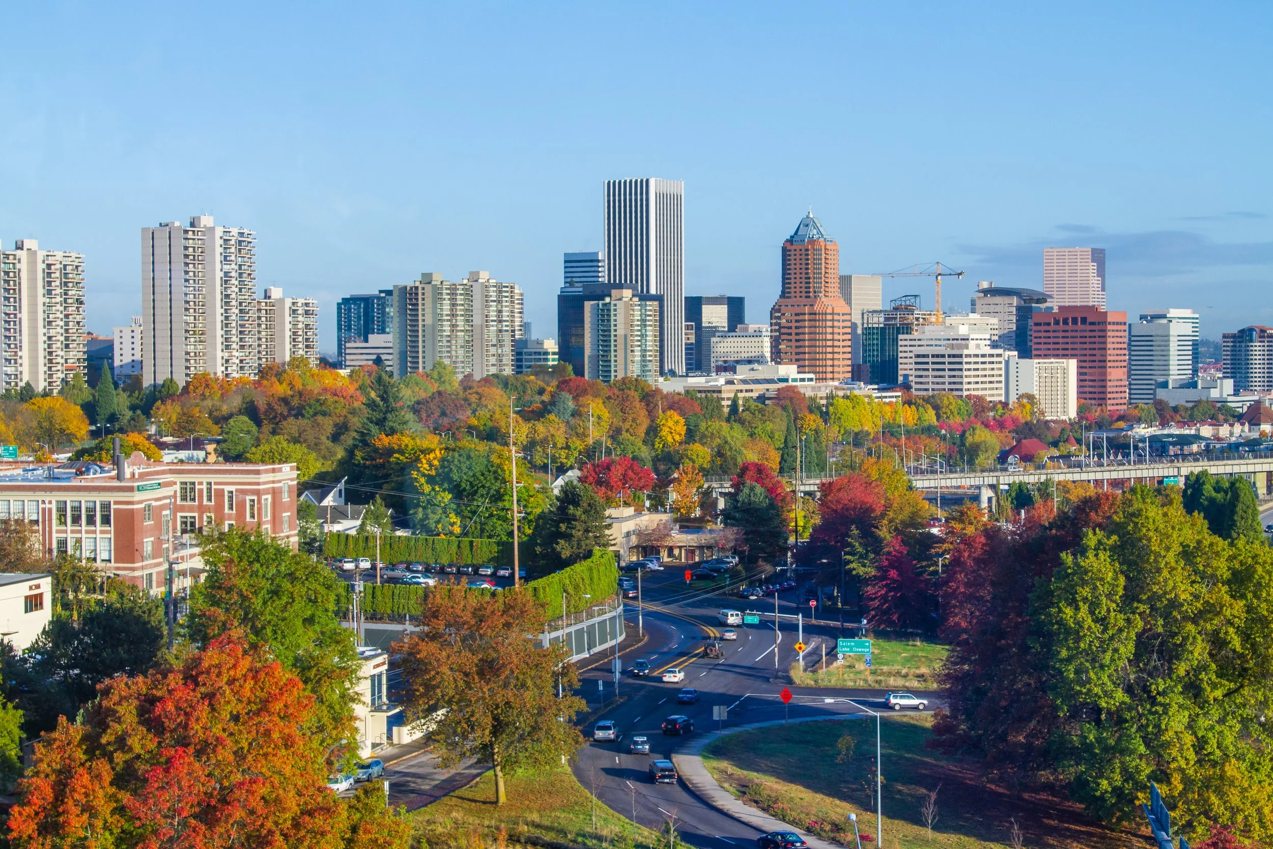 A city skyline with tall buildings against a blue sky, surrounded by colorful fall trees and a busy road in the foreground.