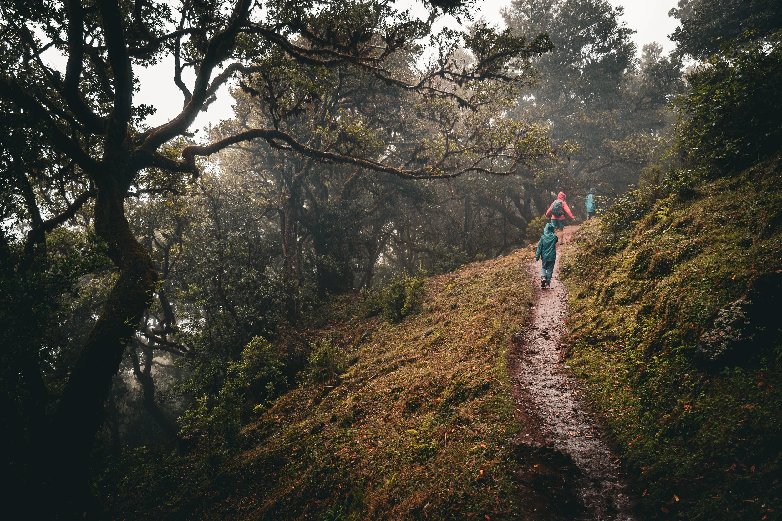 HABITAÇÃO - Pinhal Habita