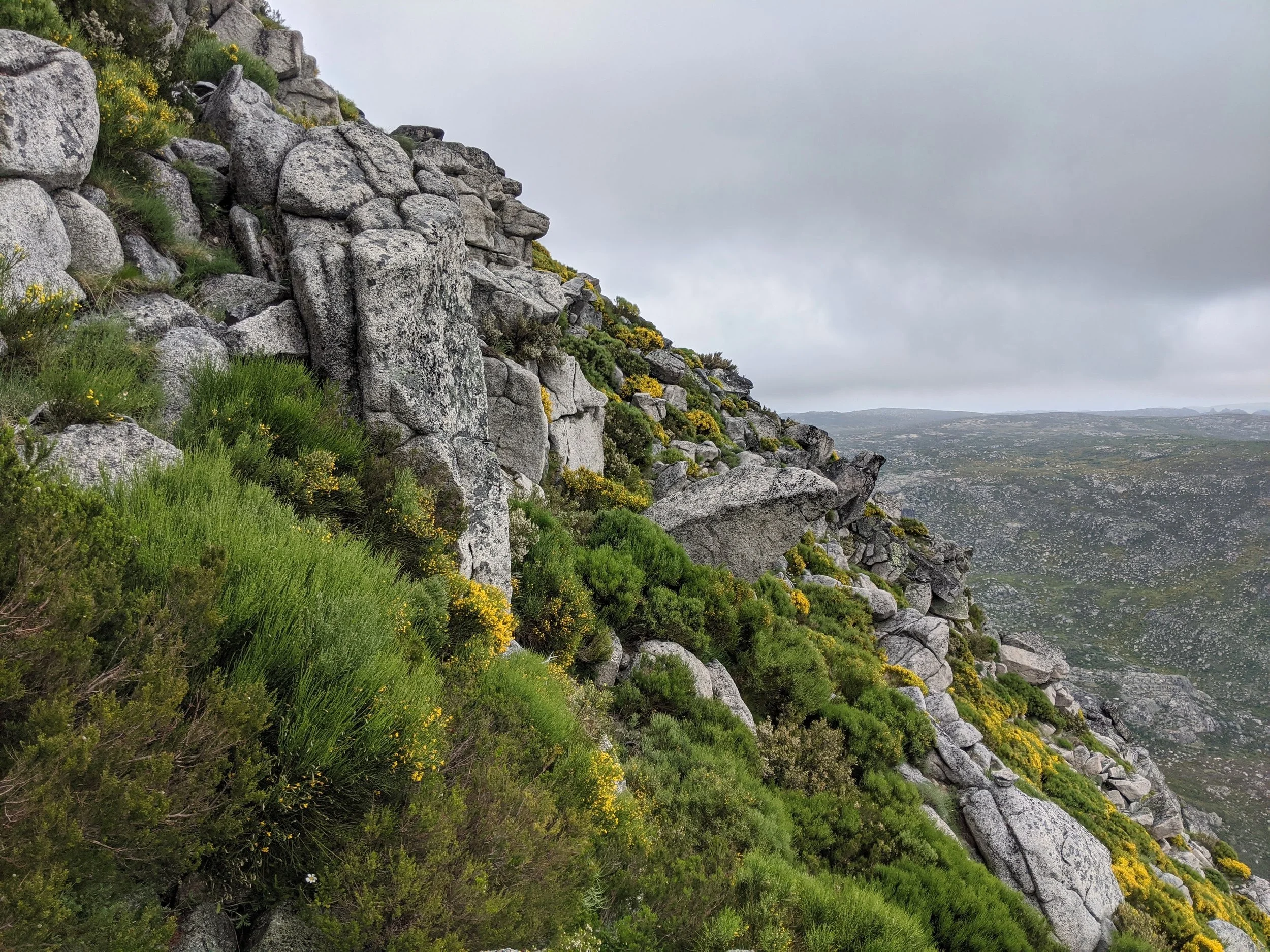 INOVAÇÃO SOCIAL – PinhalImpact