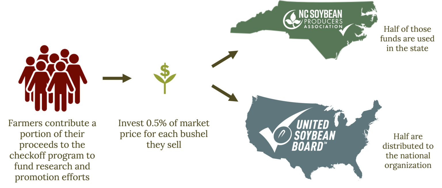Diagram showing the organization of soybean industry stakeholders, including NC Soybean Producers Association and United Soybean Board, with icons of a group of people, connected by lines.