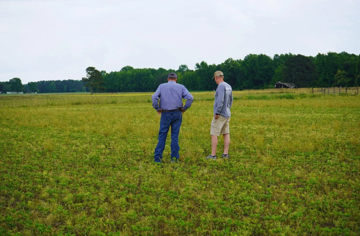 Jeff and Sydney took a trip out to Rocky Mount to check up on mid-Spring soybean progress!