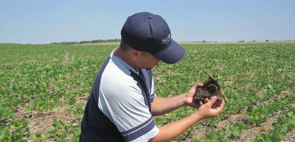 Back to Basics with the Hefty Brothers: Soil-Sampling Tips for Soybeans