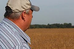 Choosing the Right Words to Tell Your Story