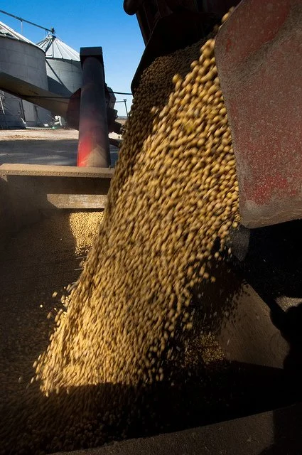 Safety Tips for Harvest