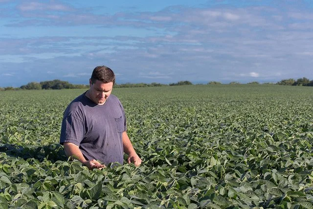 Want to Know More About Your Soy Checkoff? See For Yourself!