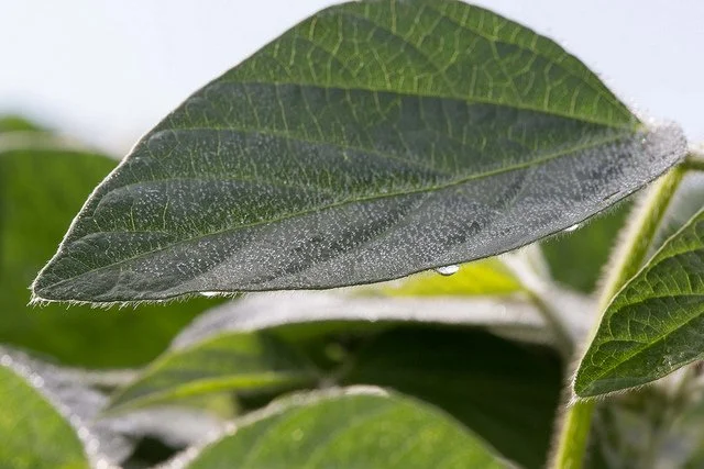 Improve Sustainability Throughout the Year