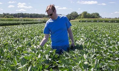 Using Thresholds To Control Insects Diseases & Costs