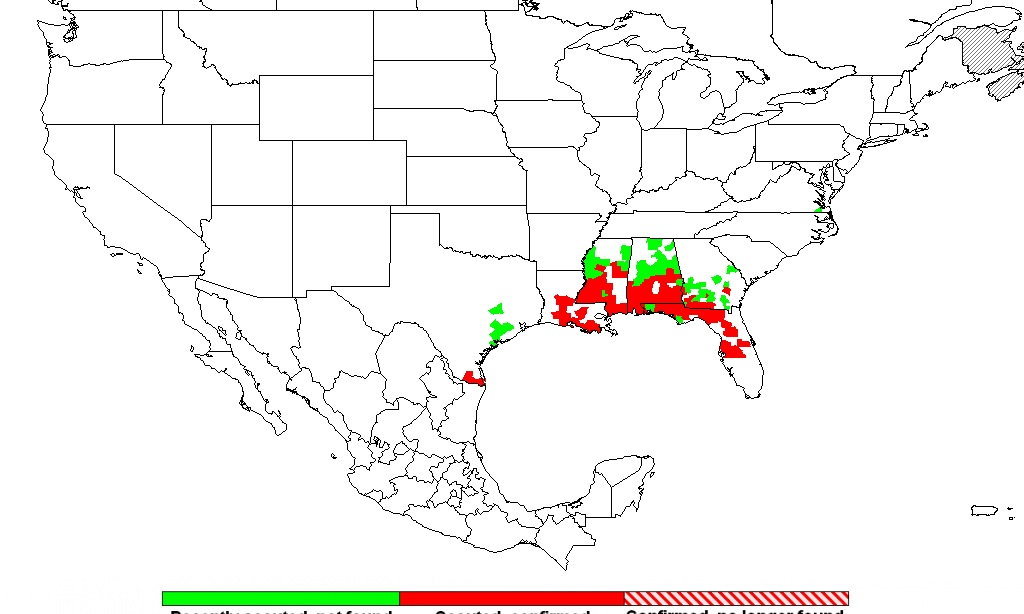 August 19th Soybean Rust Update 2016