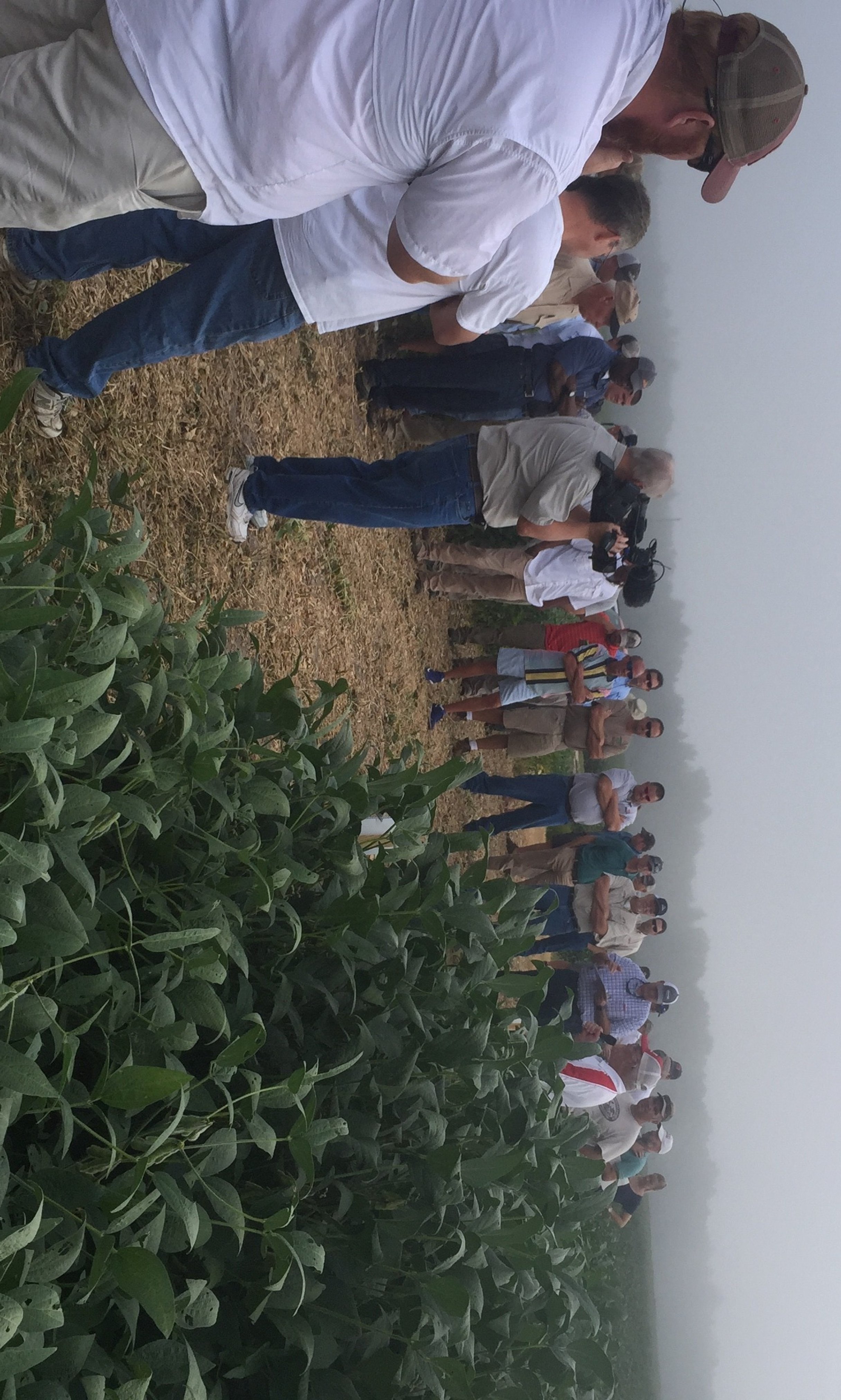 Soybean/Cotton Field Day a Success