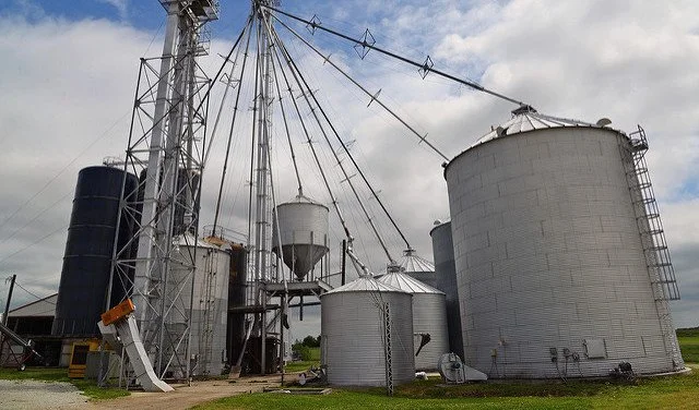 Steps to Store Grain Safely