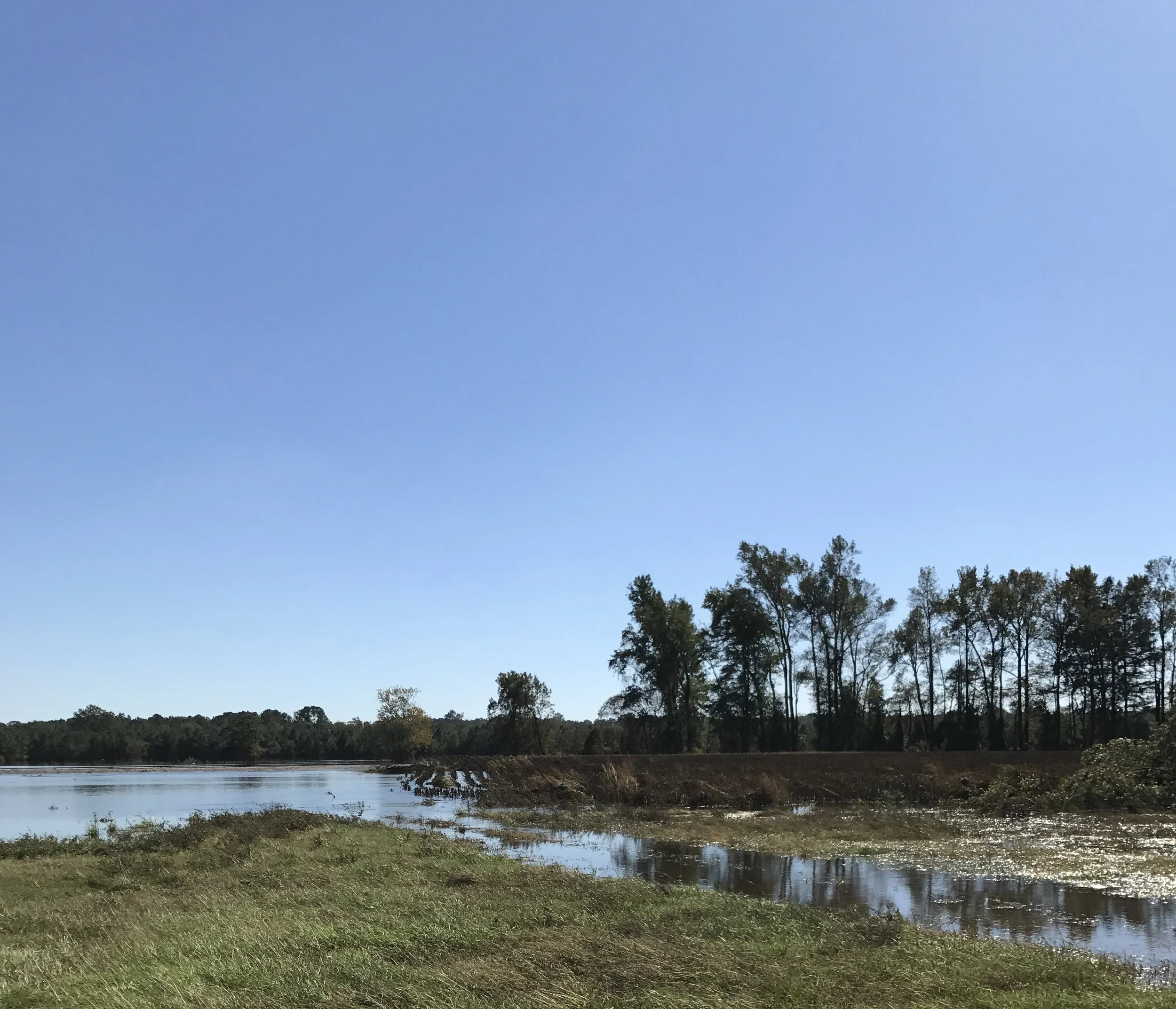 Report Your Farm Damage to County FSA Office