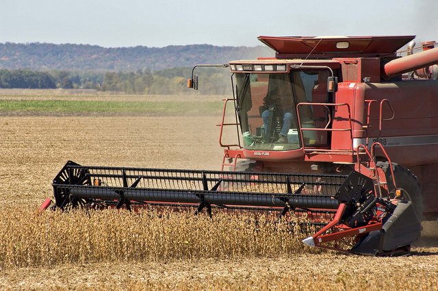 Factors That Have the Biggest Impact on Yield