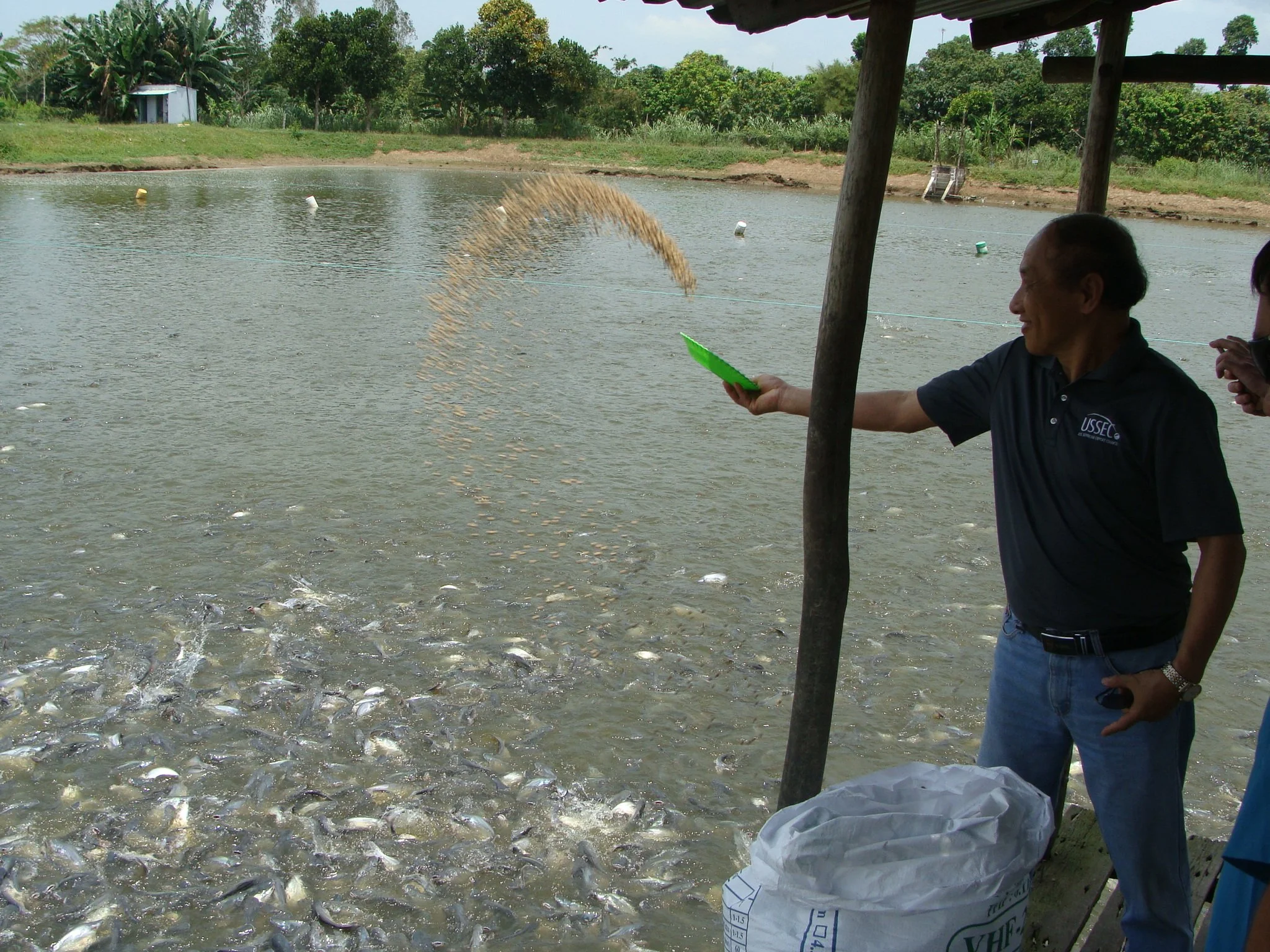 Vietnam Feeds Fish U.S. Soy