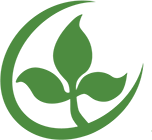 Synthetic Auxin Fact Sheet