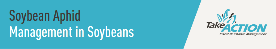 Soybean Aphid Management