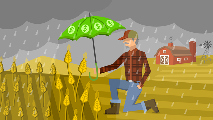 The importance of purchasing and properly structuring crop insurance