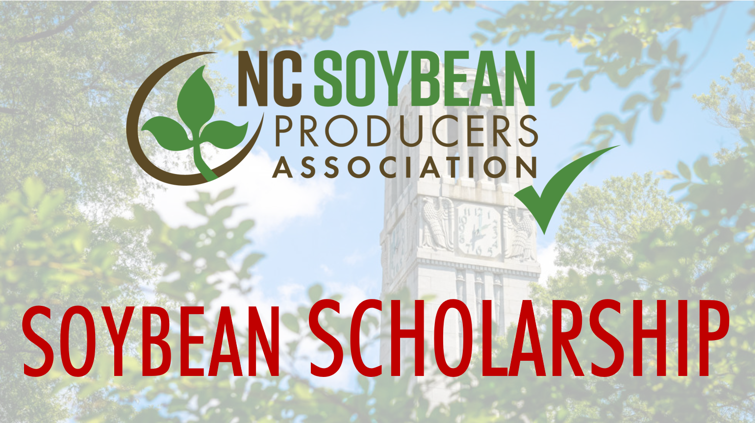 19-20 Soybean Scholarship Recipients