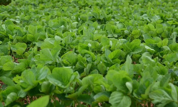 Resources for Farmers