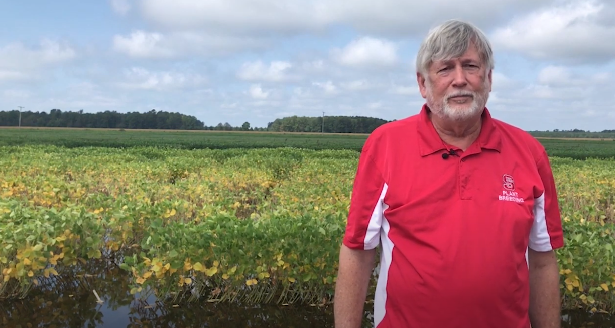 Celebrating a "Beaningful" Career: Tommy Carter Concludes 30+ Years of Soybean Breeding