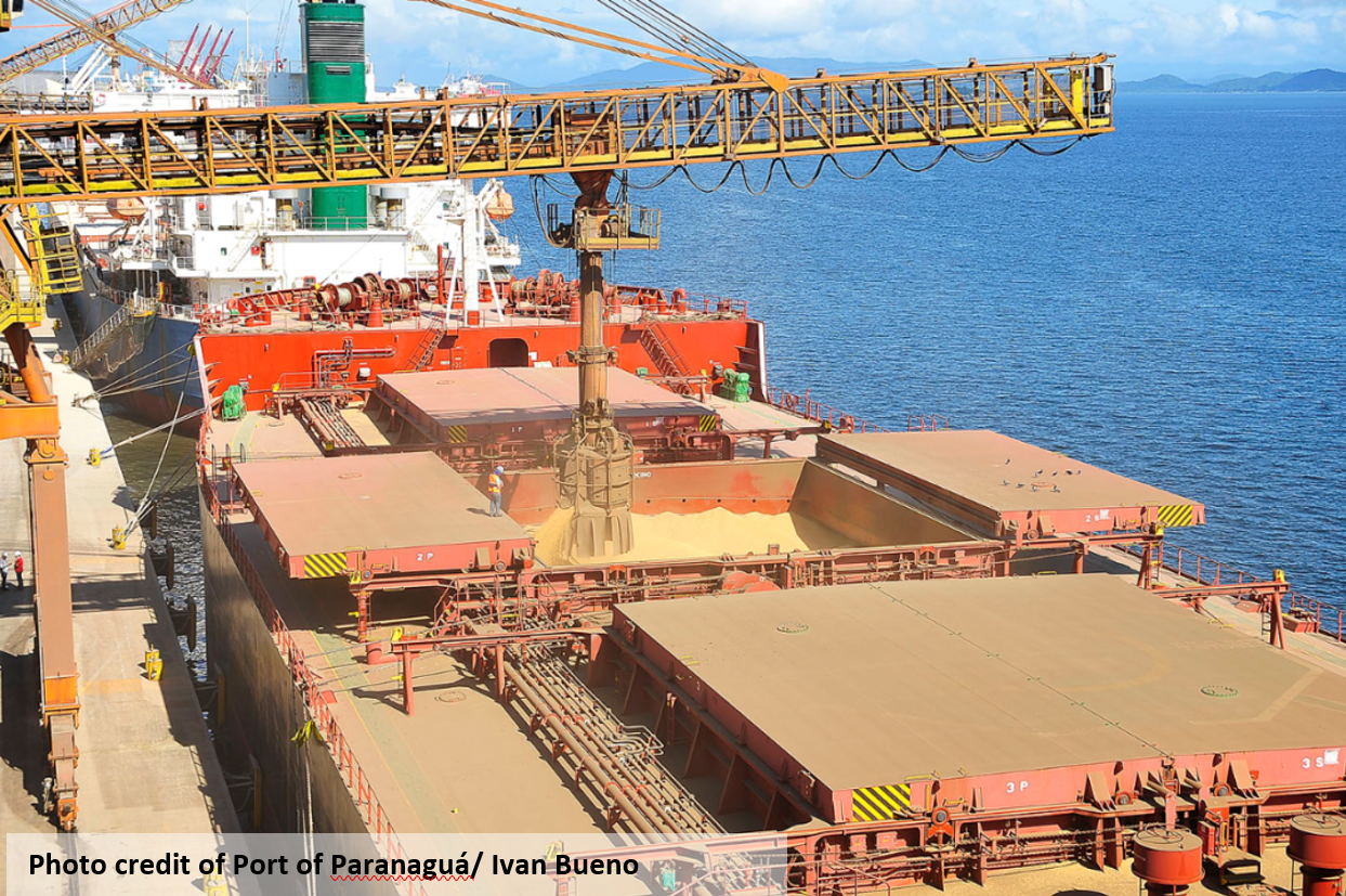 The Bill for the Trade War Comes Due - How Brazil Ended up Importing US Soybeans