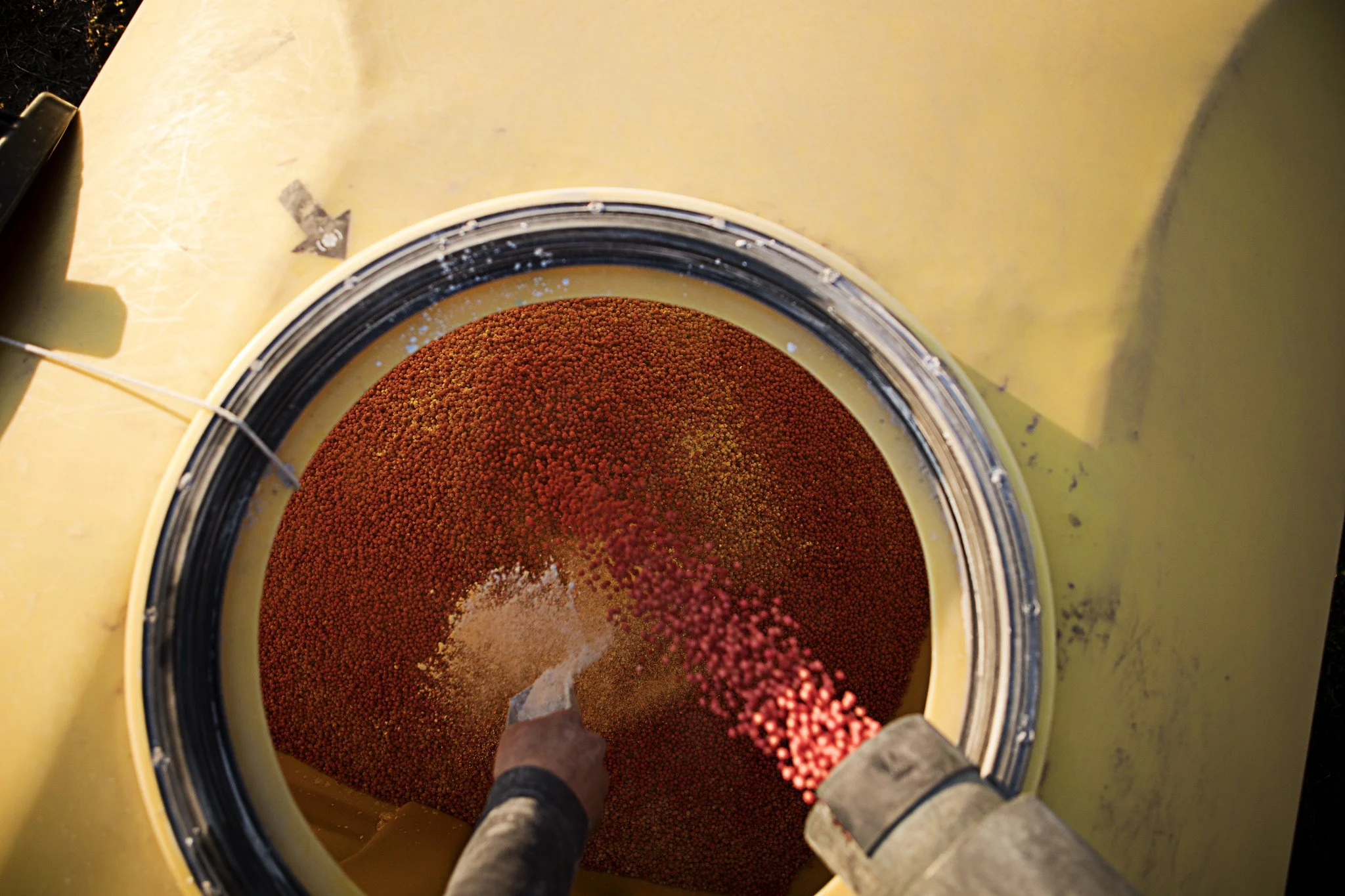 Value of a Fungicidal Seed Treatment in NC Soybeans