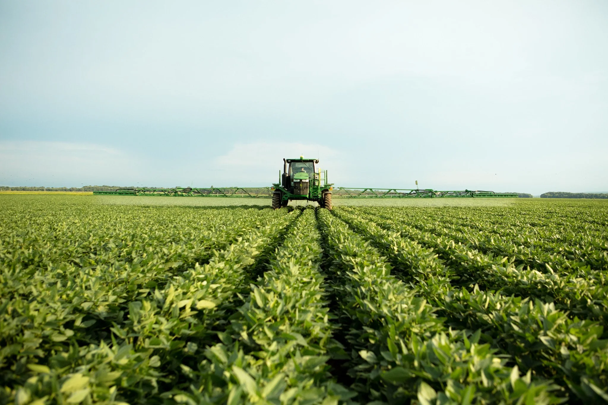 States Can Help Regulate Pesticides, But Cannot Contradict EPA’s Conclusions.</strong>