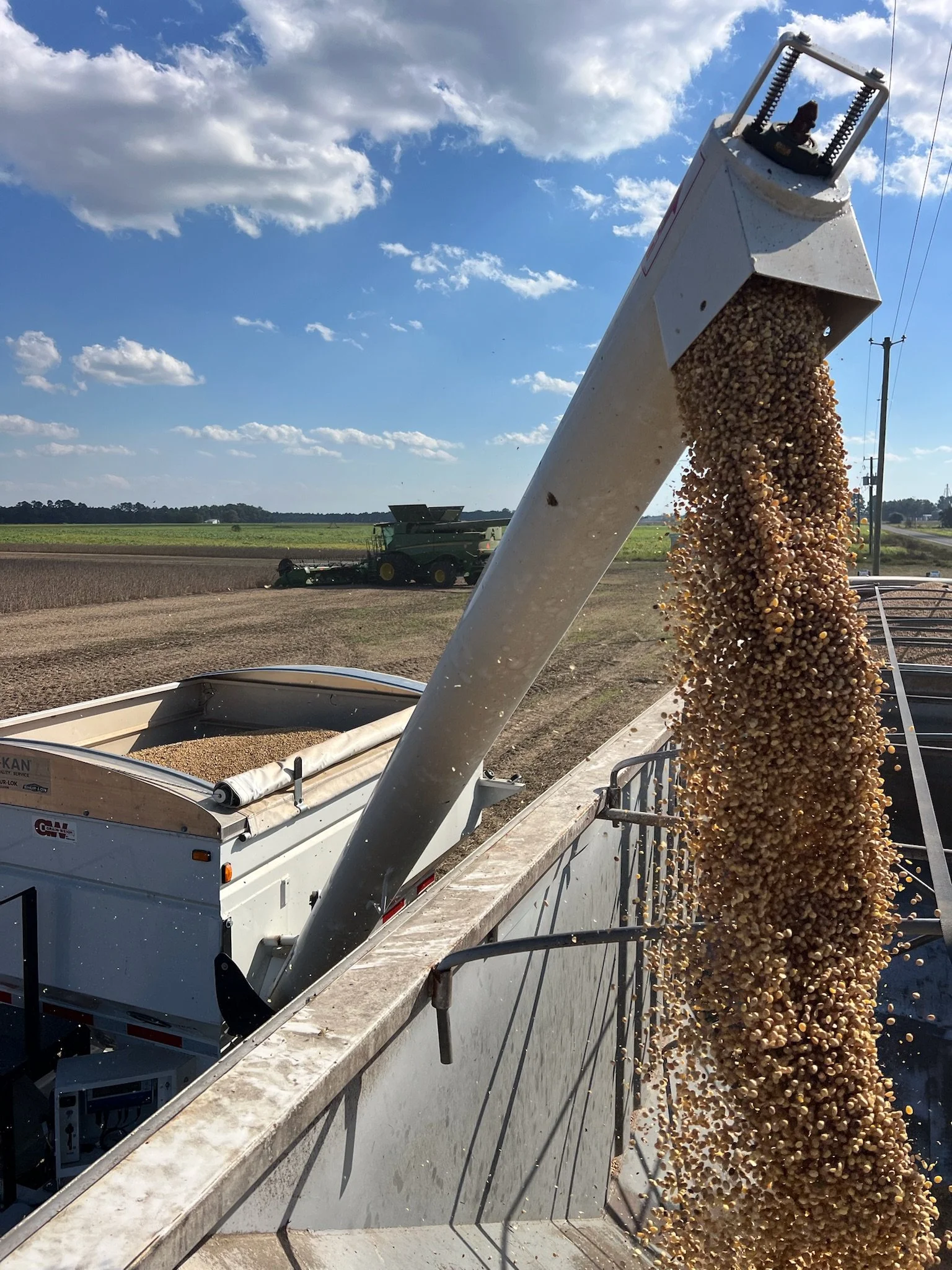 Soybean Grading Equals Trust and Consistency