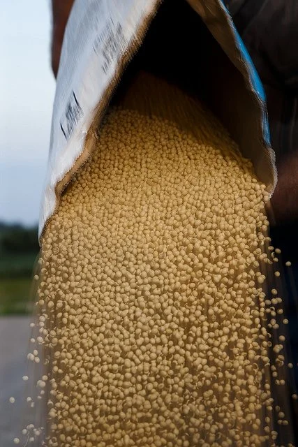 Considering Seed Treatments?