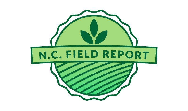 Influence of Planting Date and Maturity Group on Yield – Part 3