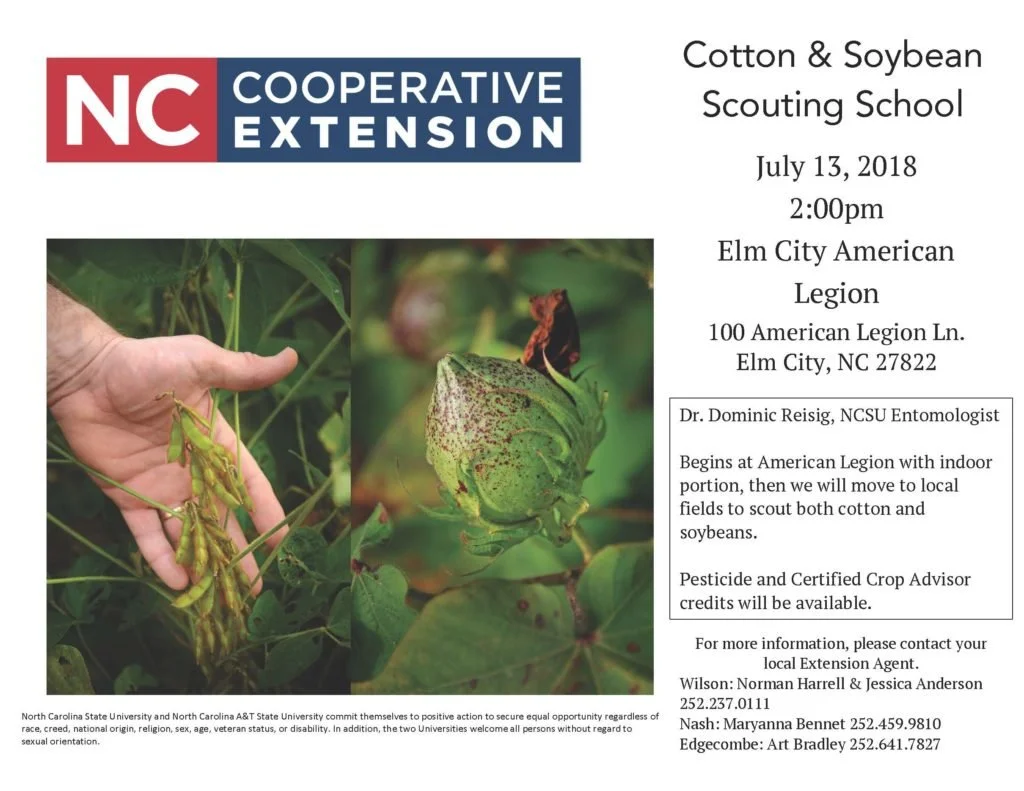 Cotton and Soybean Scouting School
