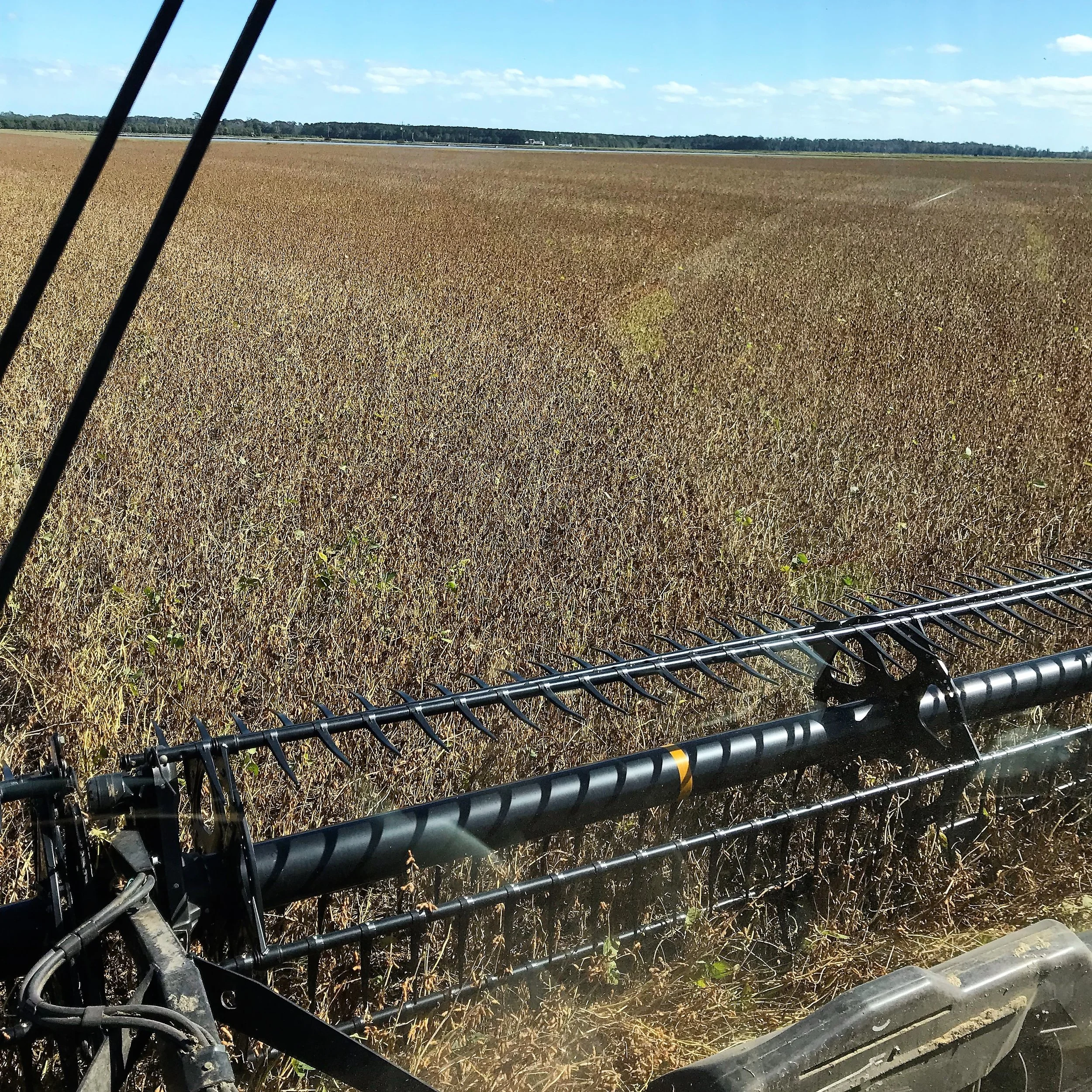 Delayed Harvest and End of Insurance Period