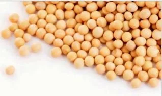 Trade Aid for Farmers Impacted by Tariffs