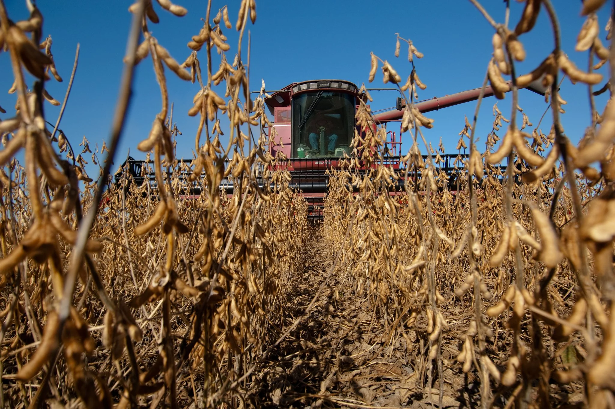 No Simple Answers on How to Feed the World