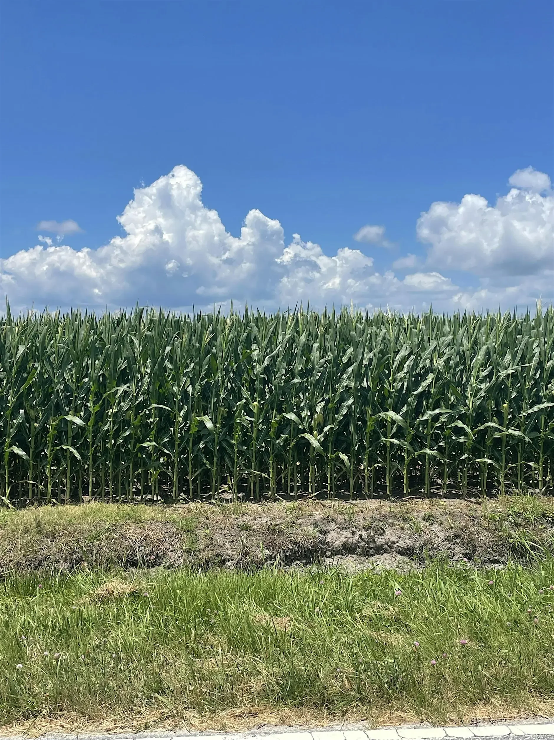 Blacklands Farm Mangers Tour